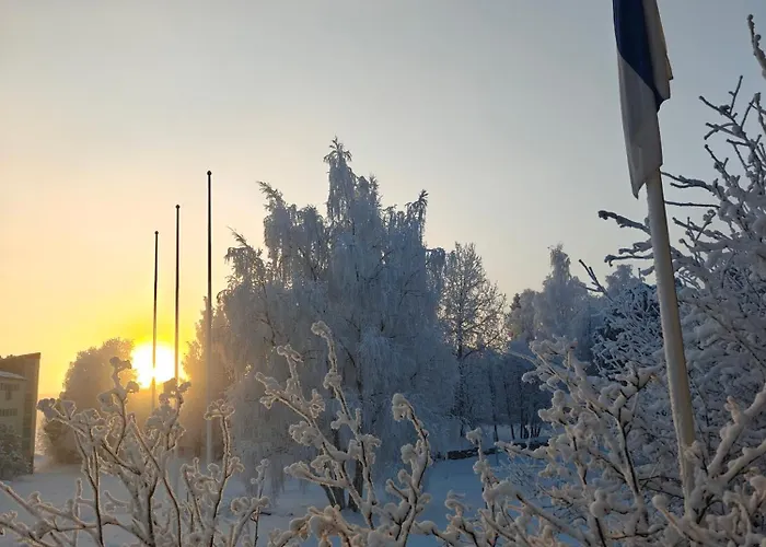 Black Elegant - Feel Lapland With Design & Style Daire Rovaniemi