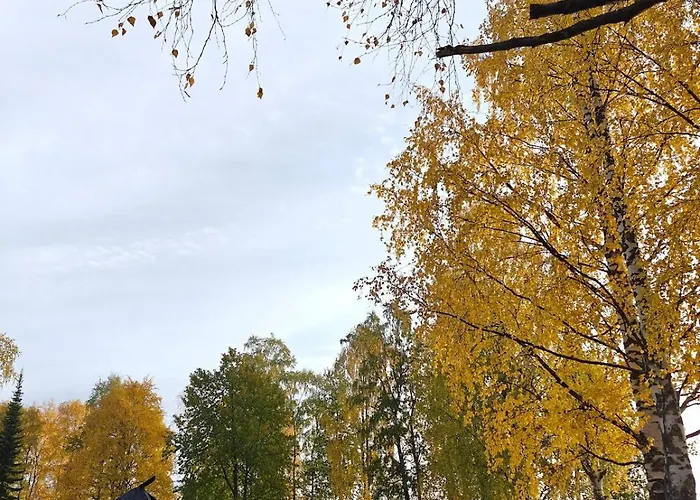 Daire Black Elegant - Feel Lapland With Design & Style *