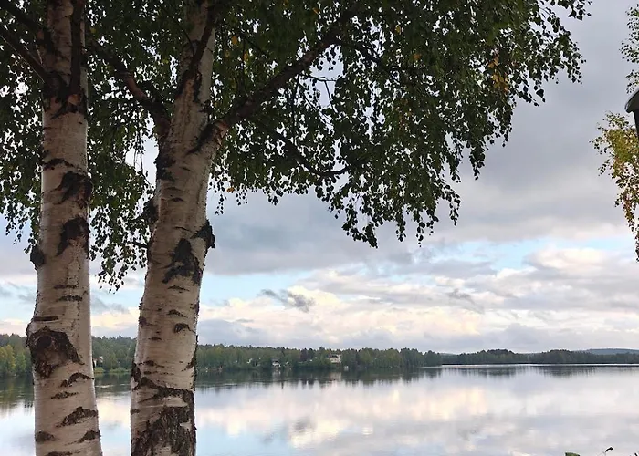 Black Elegant - Feel Lapland With Design & Style * Rovaniemi